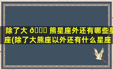 除了大 🐕 熊星座外还有哪些星座(除了大熊座以外还有什么星座)
